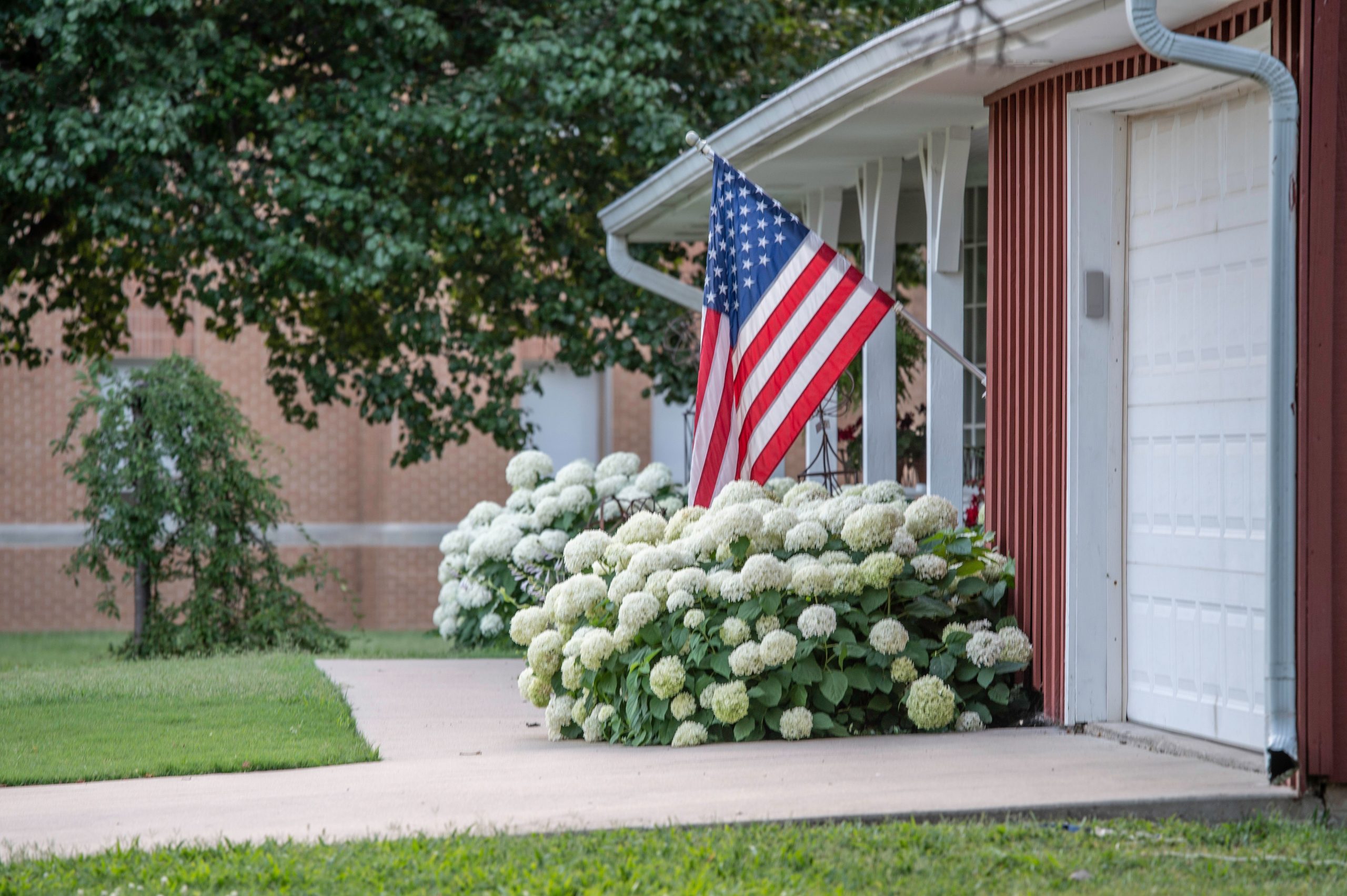 American flag displayed on front porch surrounded by white hydrangea flowers