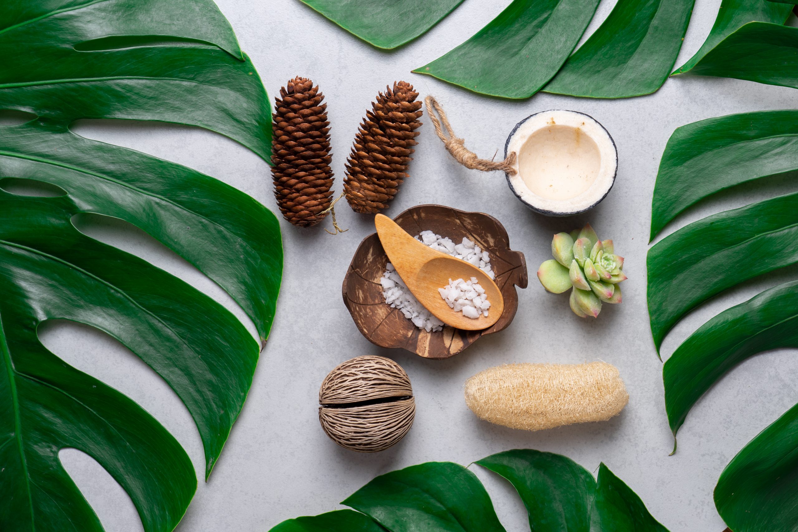 `Flat lay natural skin care at home essentials and spa products with tropical monstera leaves on pink background`